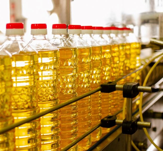 rPET Chips Manufacturer for Bottles Go Rewise