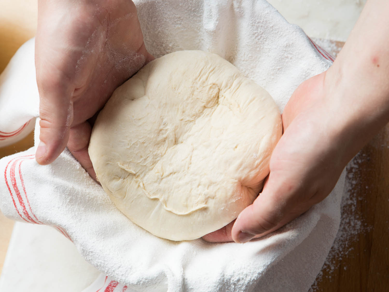 Things to Know Before Buying a Dough Proofer What Do