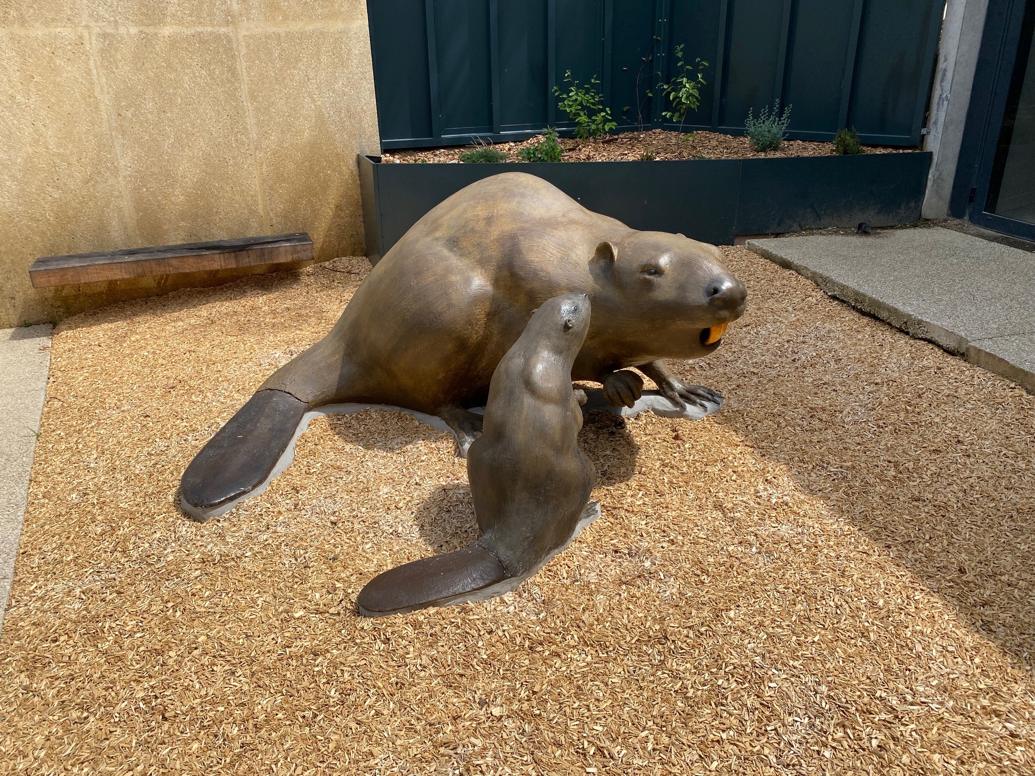 Maison du castor Collias Syndicat Mixte des du Gardon