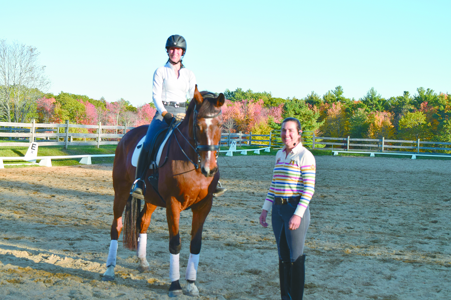 Vienna Farm for the Love of Horses The Gorham Times