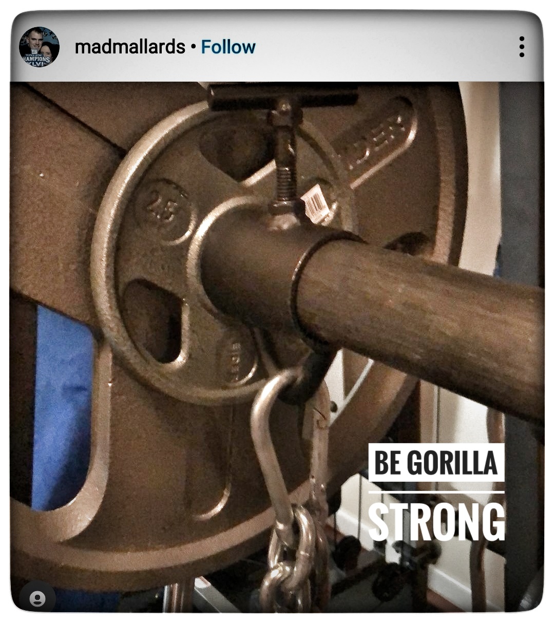 Set of 2″ Chain Collars with Loops for Barbells, Strongman, Farmers