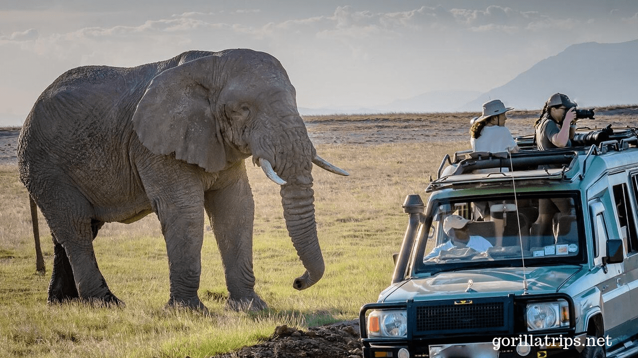 Dreaming For Travelling Uganda