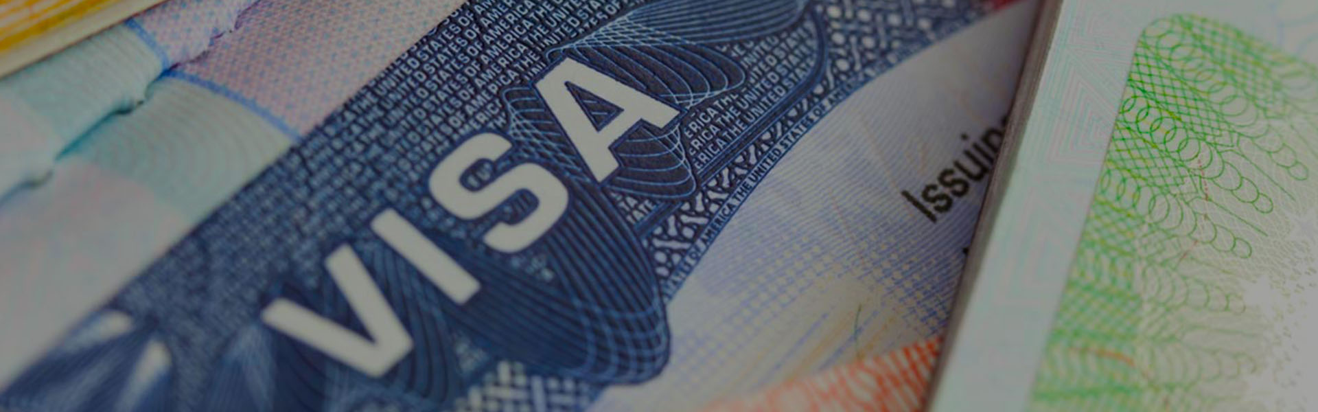 Uganda Visa Cost Saso Gorilla Safaris Uganda