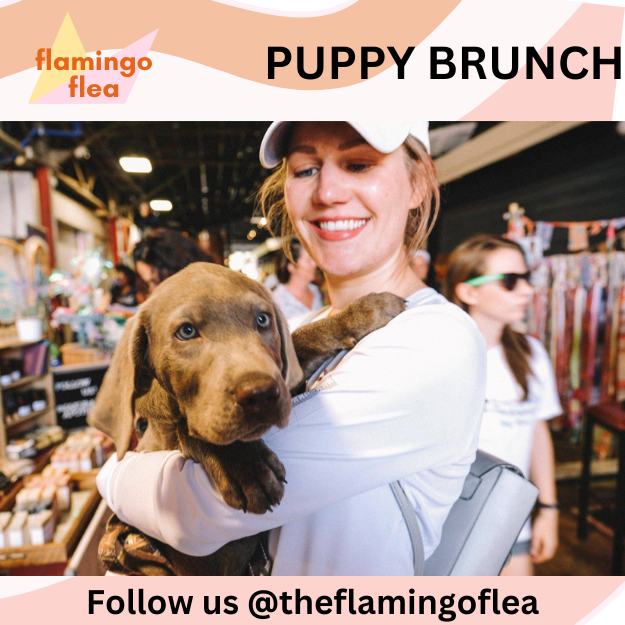 Flamingo Flea's Puppy Brunch Riverwalk Fort Lauderdale