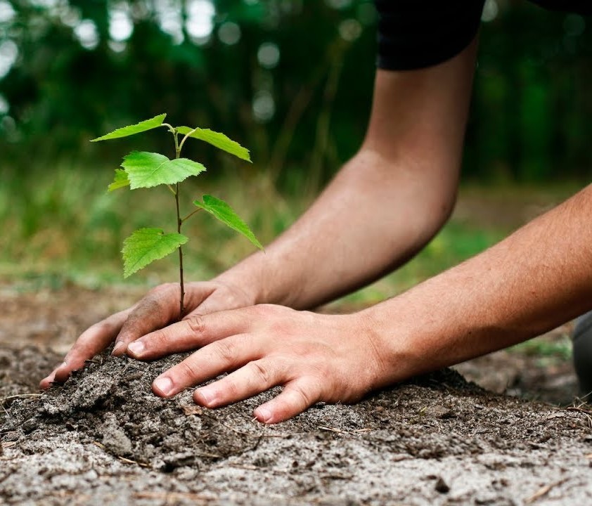 Tu B'Shevat Tree Planting Ceremony Riverwalk Fort Lauderdale