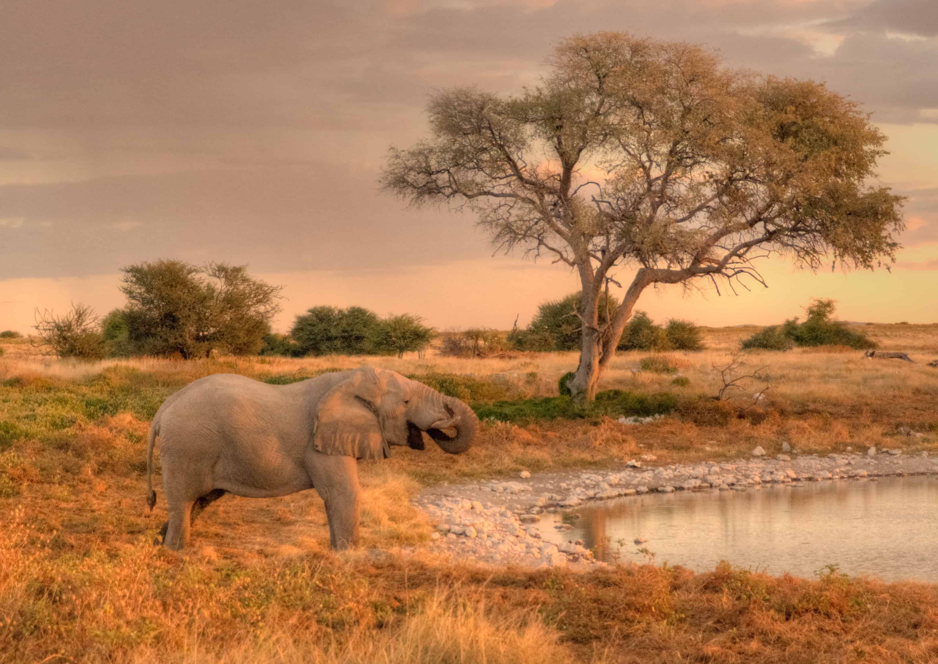Best Travel Photos I Have Taken on My Journeys