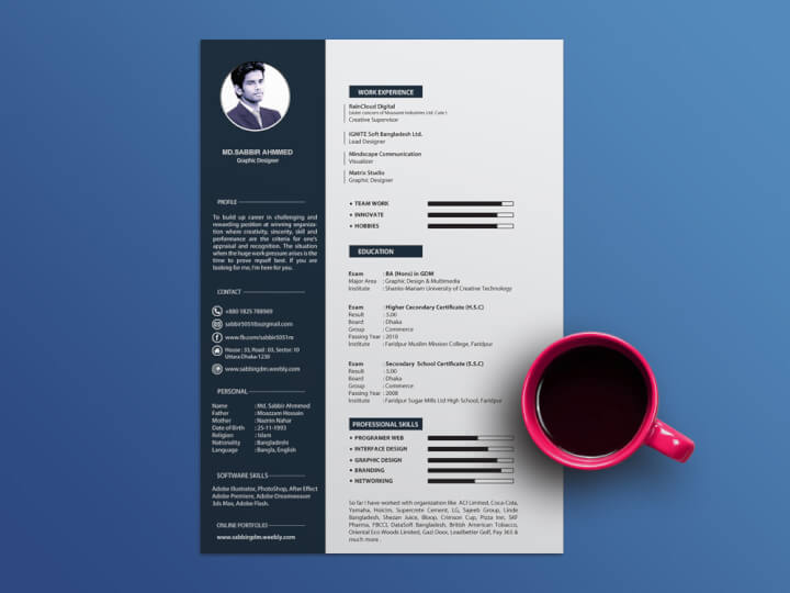 30 Best Free Illustrator Resume Templates in 2020