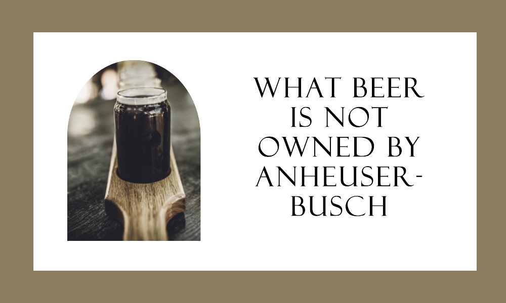 What Beers Is Not Owned by AnheuserBusch Gossiboo Crew