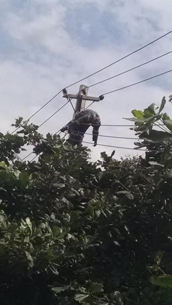 Staff Of Ikeja Disco Company Electrocuted To Death On A