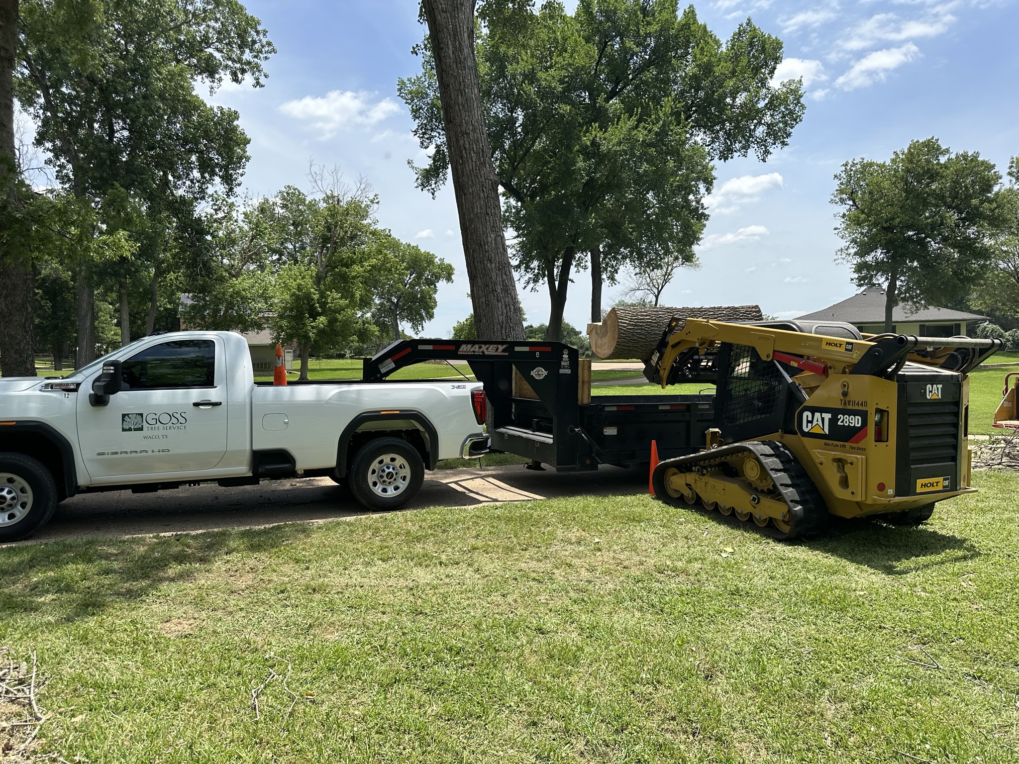 Professional Tree Service in Waco, TX