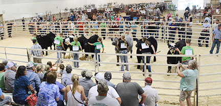 Otoe County Fair 2023 Otoe County Fair In Syracuse, Ne - Syracuse, Nebraska