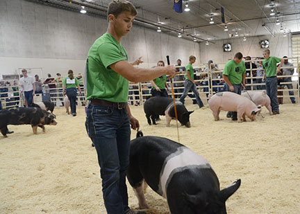 Otoe County Fair 2023 Otoe County Fair In Syracuse, Ne - Syracuse, Nebraska