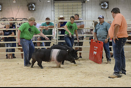 Otoe County Fair 2023 Otoe County Fair In Syracuse, Ne - Syracuse, Nebraska