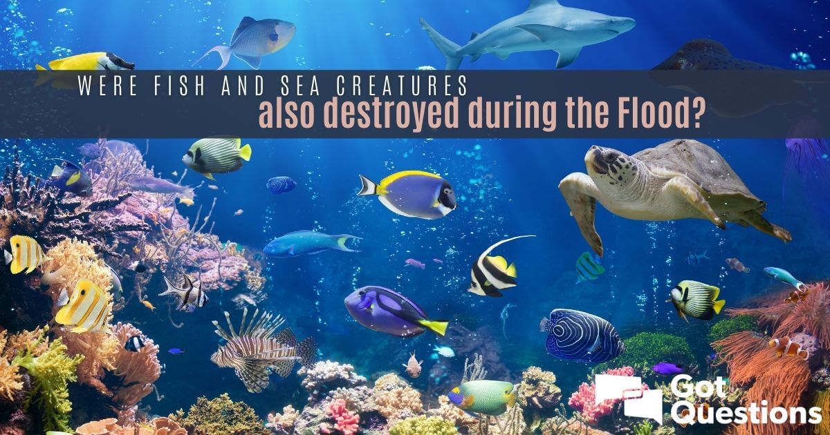 Were fish and sea creatures also destroyed during the Flood (Genesis 6