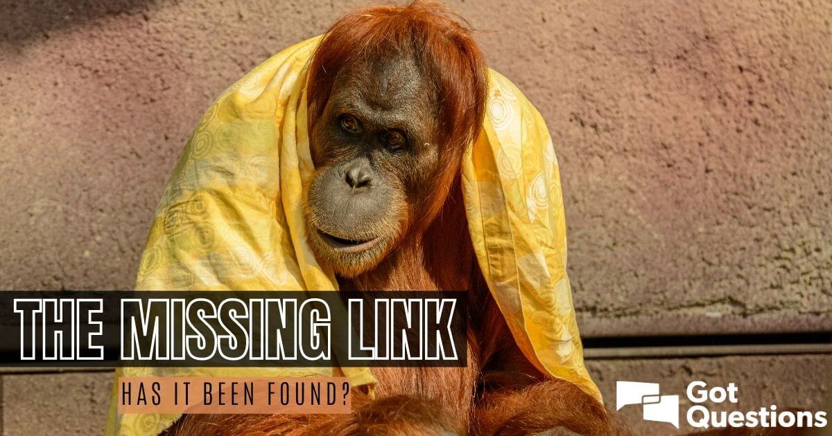 The missing link—has it been found?