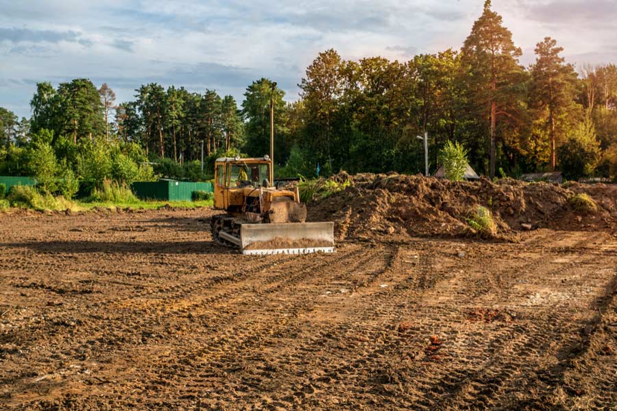 How Much Does it Cost to Clear Land? Go Tree Quotes