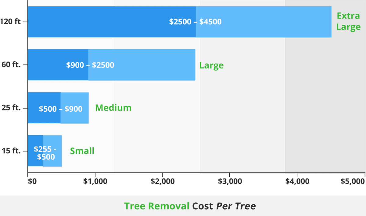 How To Pay For Tree Removal 2021 Tree Removal Cost Calculator Oxford