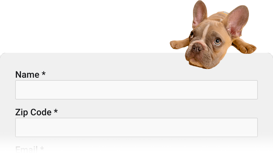 Got Sit Dog Training Top Rated Dog Training in Seattle