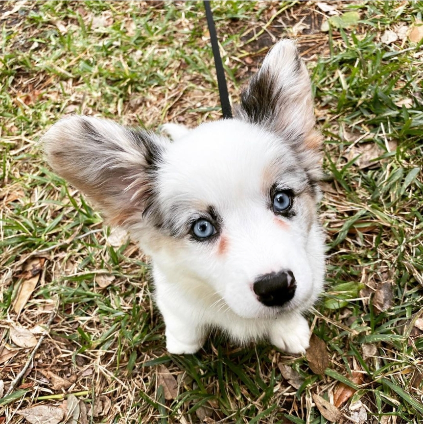 Advanced Training in Seattle Area