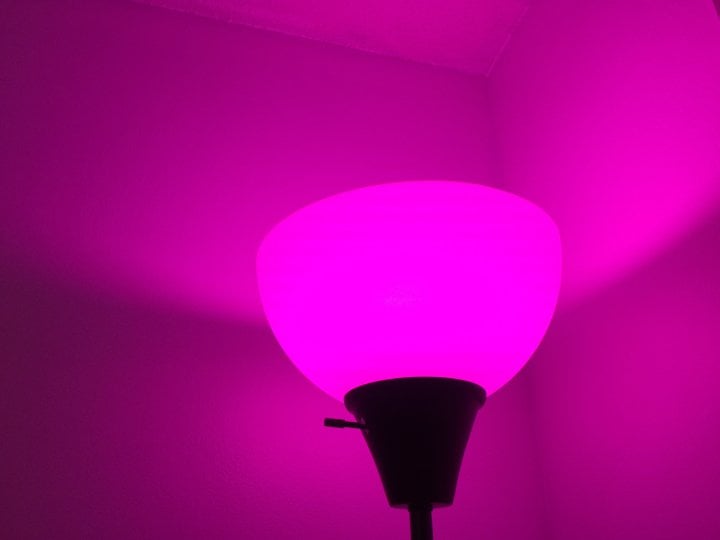 5 Common Philips Hue Problems Fixes