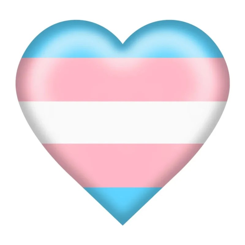 My Companion Came Out As Trans … Currently What?