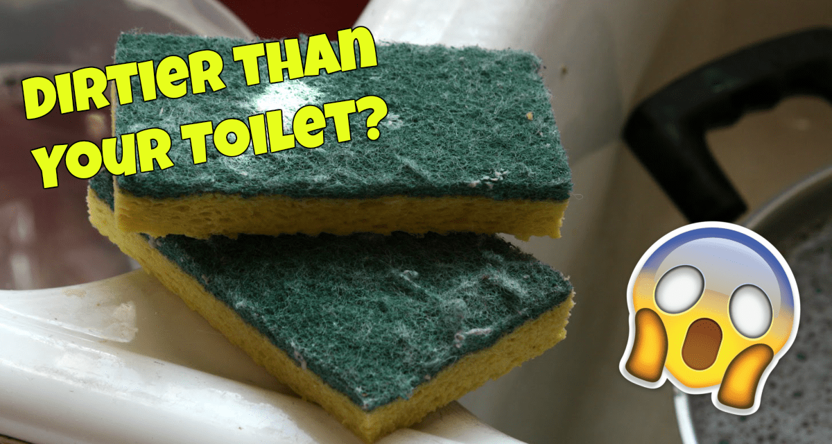 The Disgusting Truth About Your Kitchen Sponge