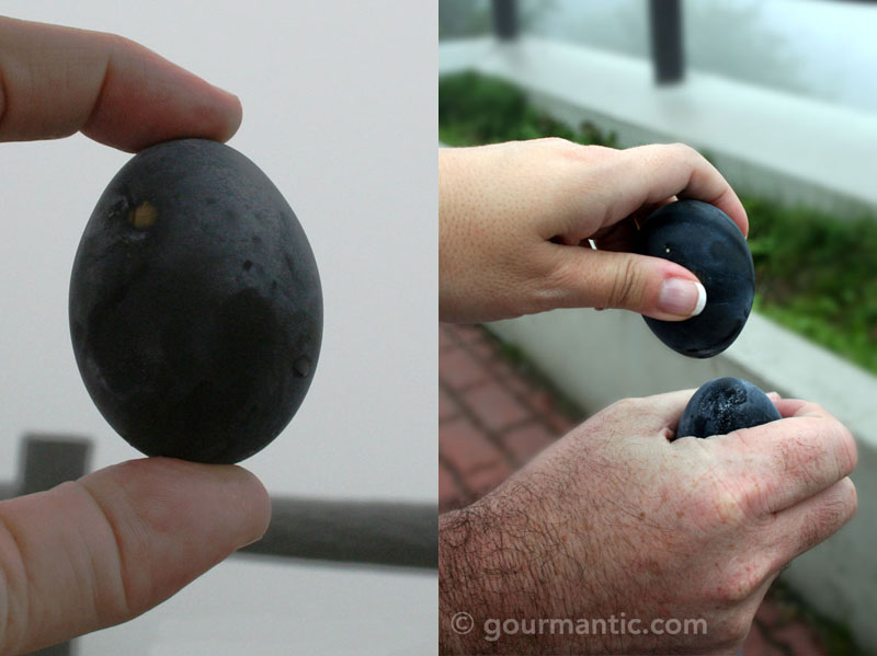 Hakone Owakudani Black Eggs Hakone Owakudani Black Eggs