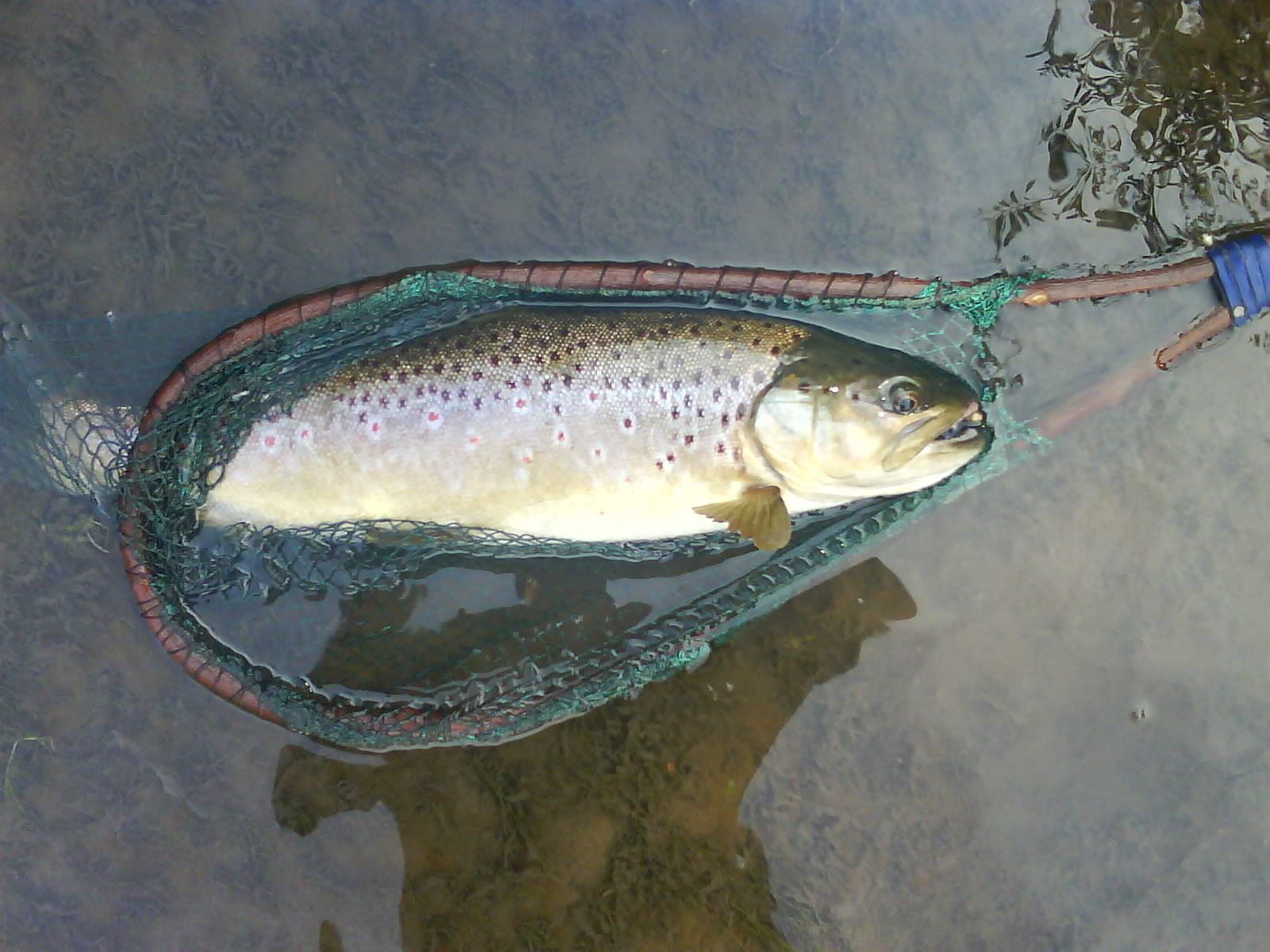 GourmetFly Fly fishing, Hunting & Shooting in France