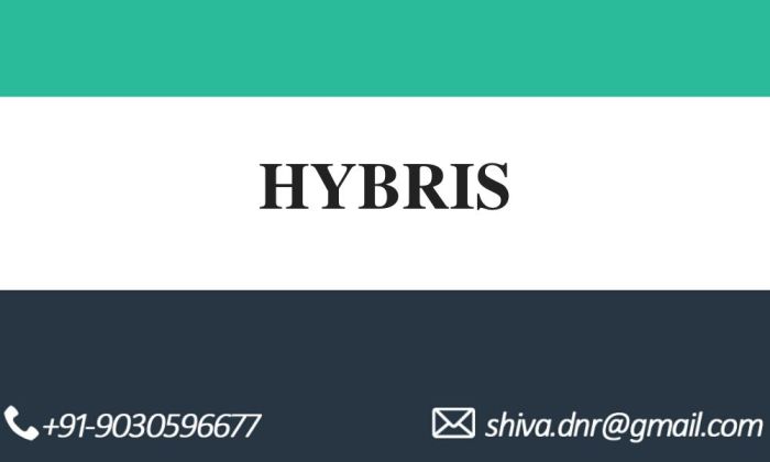 HYBRIS LATEST » Go Video Tutorials HYBRIS LATEST » Go Video Tutorials