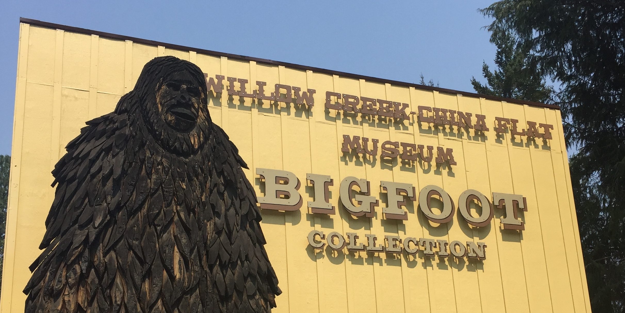 What is the Difference Between Bigfoot and Government? » Community