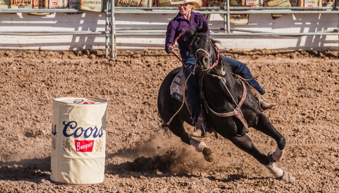 Clark County Fair Concerts 2023 Clark County Fair & Rodeo Event » Go Where When