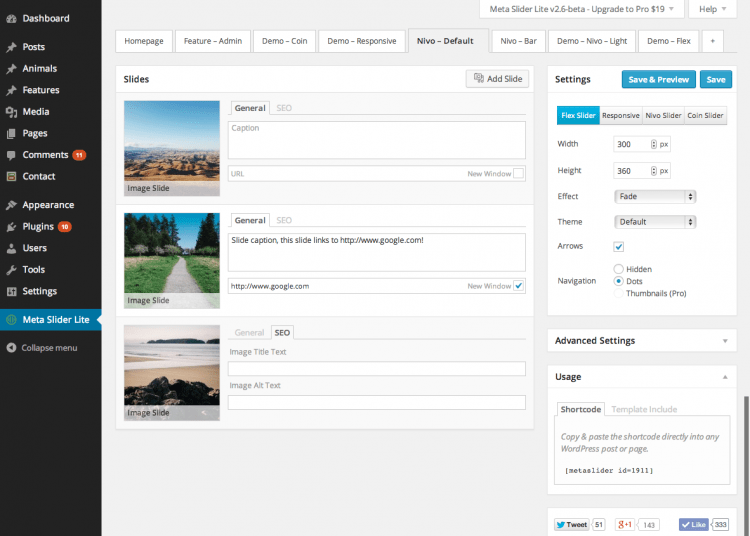 WordPress Meta Slider
