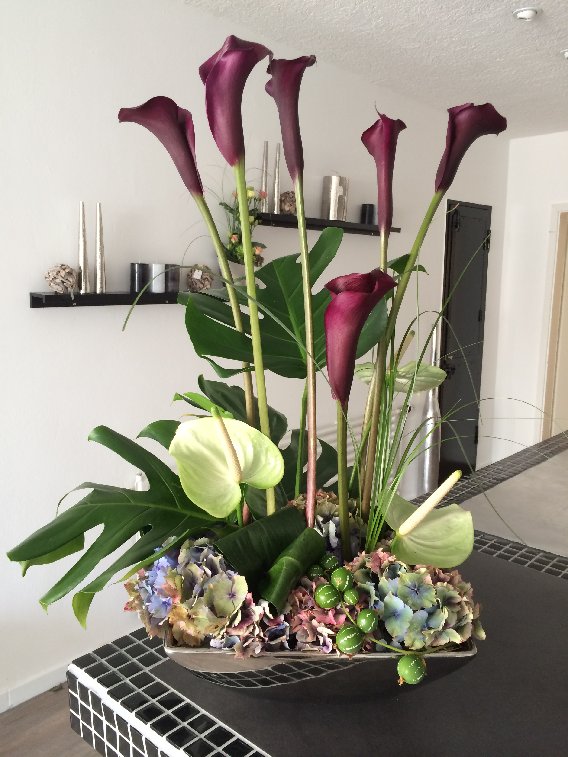 FL Floristik Lounge UG (haftungsbeschränkt) i.G. in Köln, Brauweilerstr