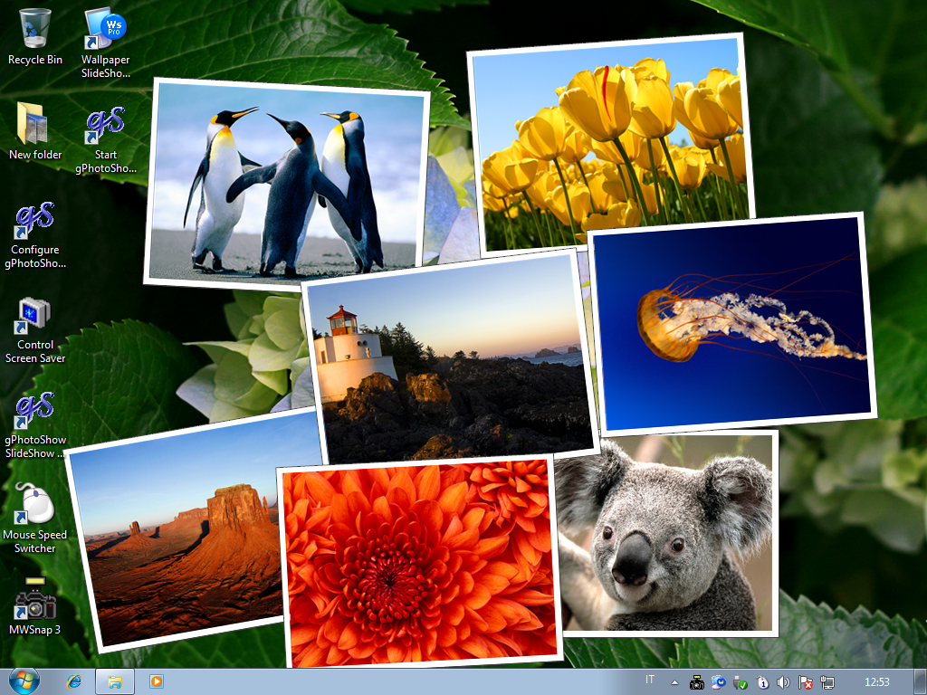 Wallpaper Slideshow Pro Screen Shots
