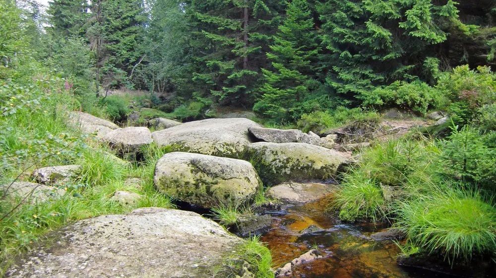 Wandern Eckerquerung Scharfenstein Winterbergklippe (Tour 64402)