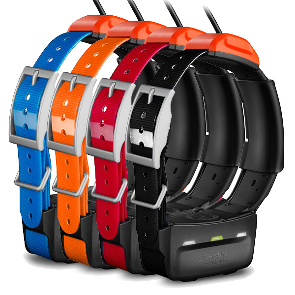 Collare gps per cani Tutte le offerte Cascare a Fagiolo