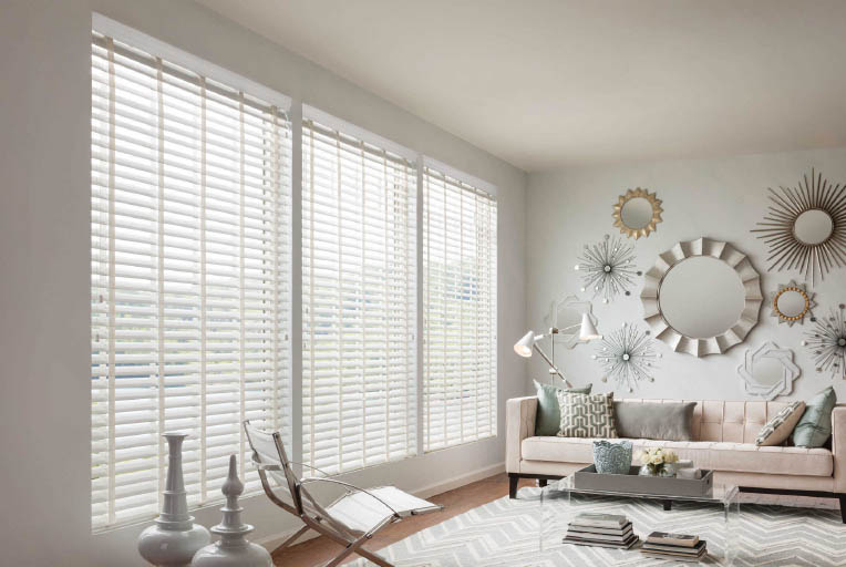 Motorized Blinds and Shades