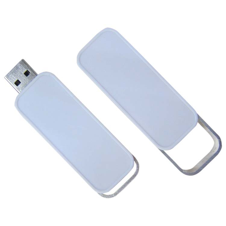 Custom Promotional Plastic Case USB Flash Drive