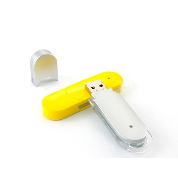 Custom Promotional Plastic Case USB Flash Drive