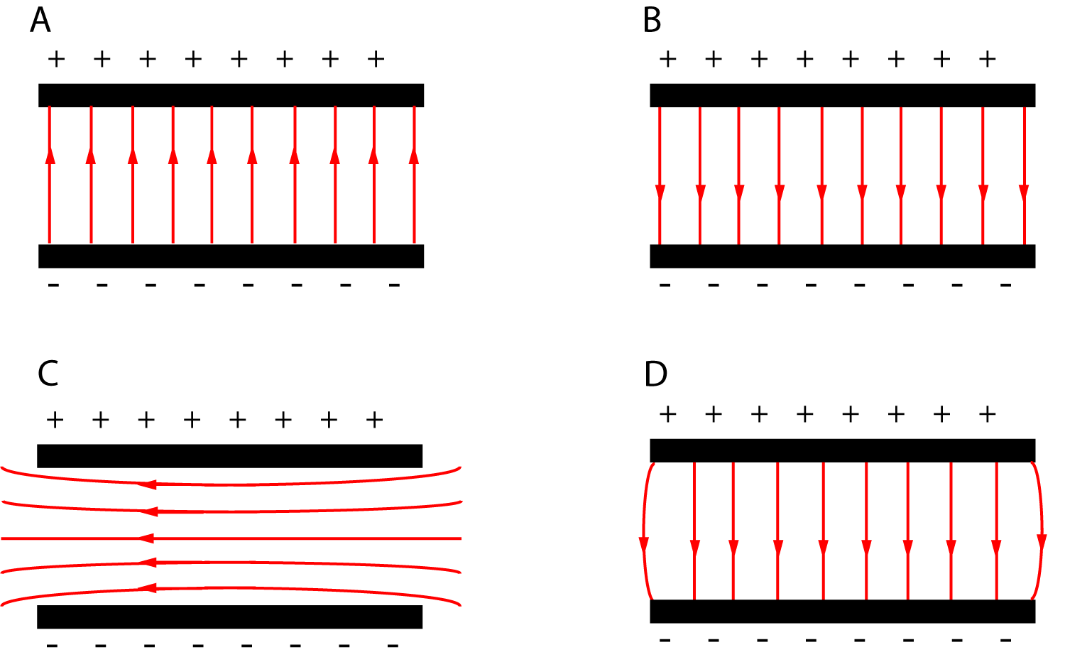 IB Physics Electric Fields Grade Gorilla