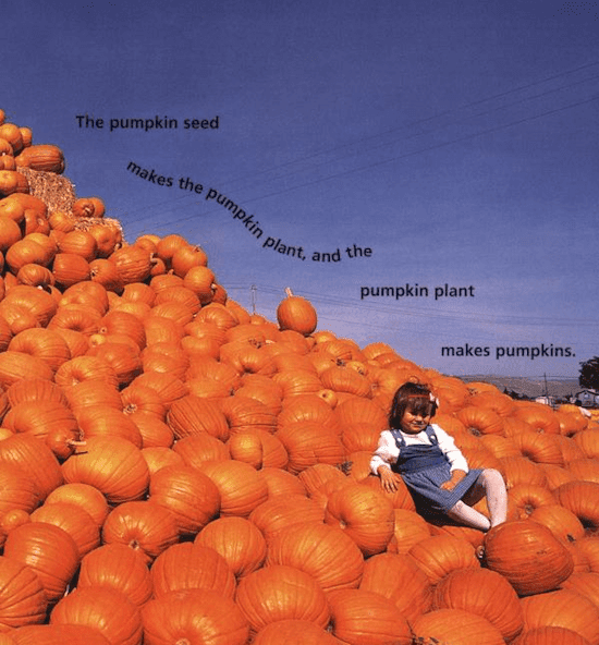 Pumpkin Circle Book Review » Grade Onederful