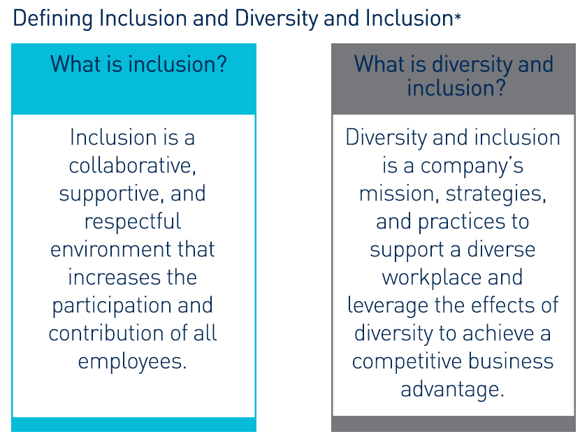 Promoting Diversity and Inclusion in a Global Workplace Graebel