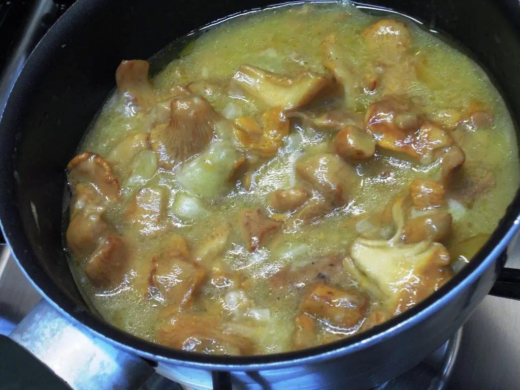 Molho de Cogumelos Cantarel Receitas Grafe e Faca