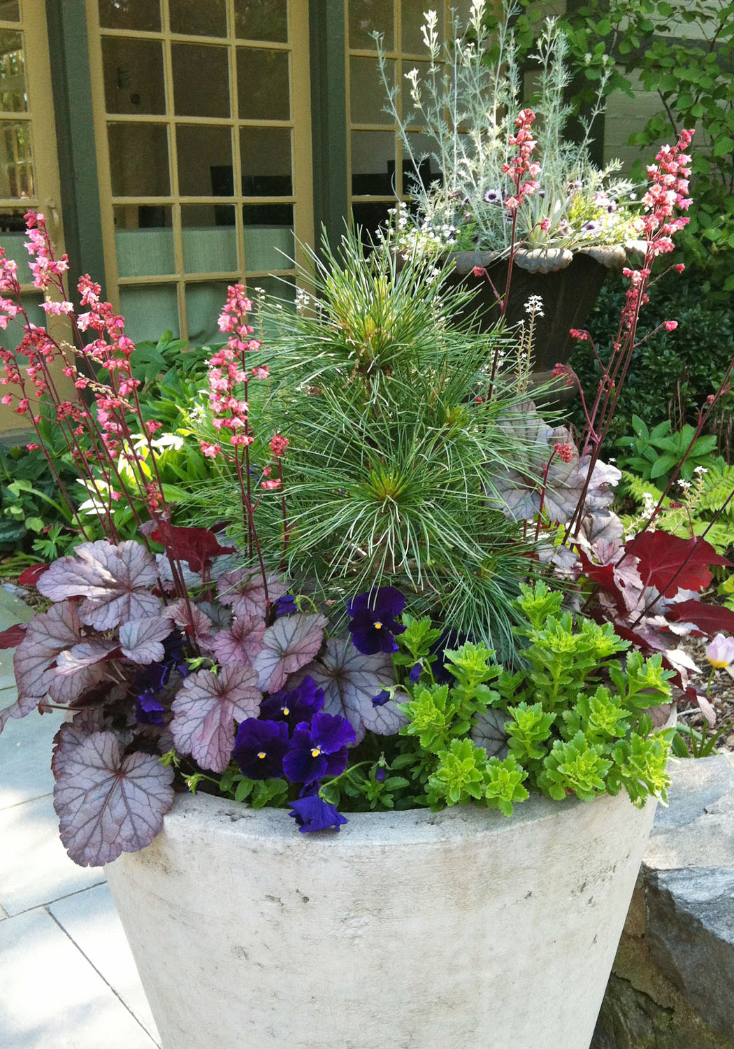 Container Garden Potting Party Graf Growers