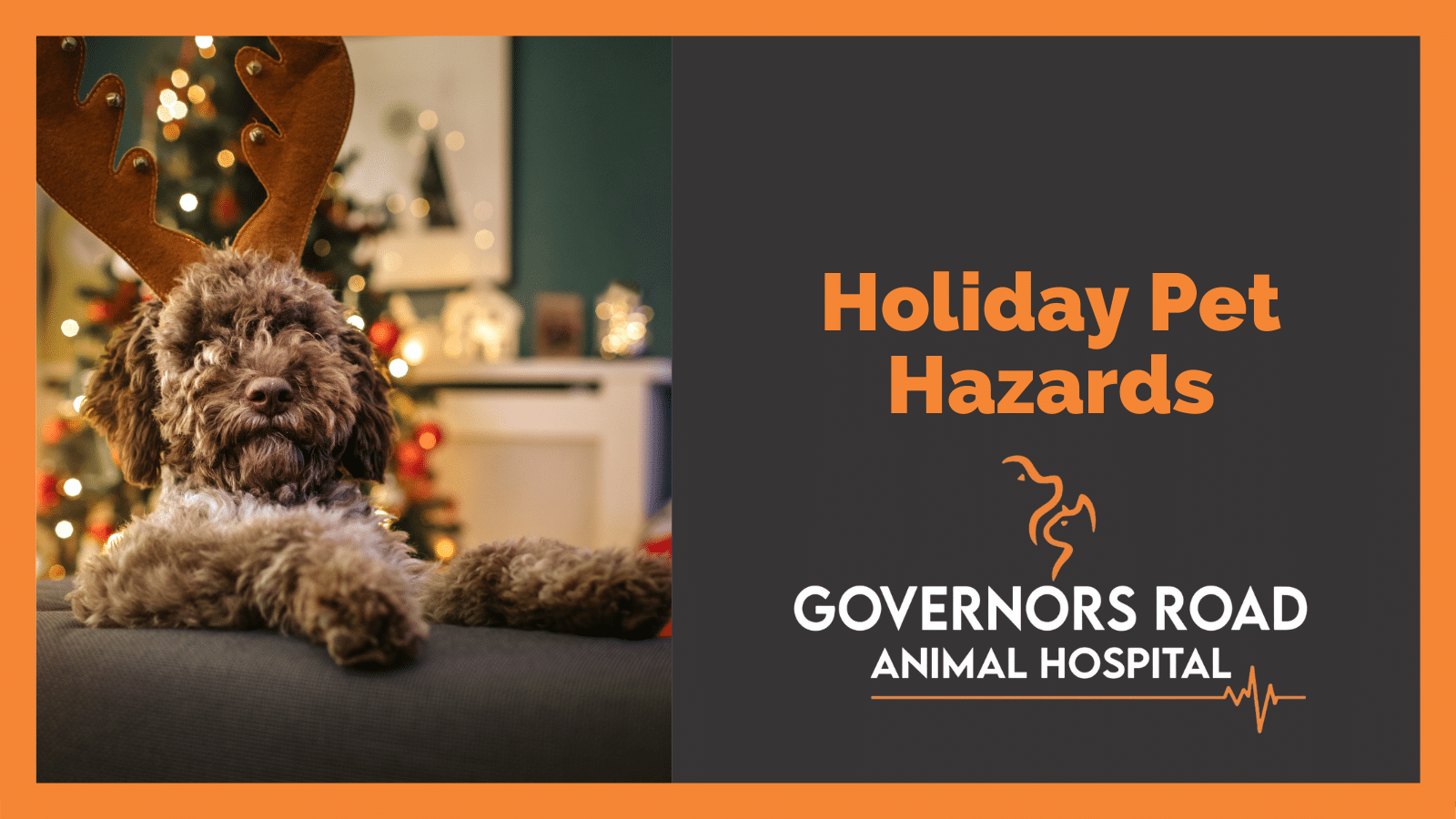 Governors Road Animal Hospital Veterinary Clinic in Dundas Animal