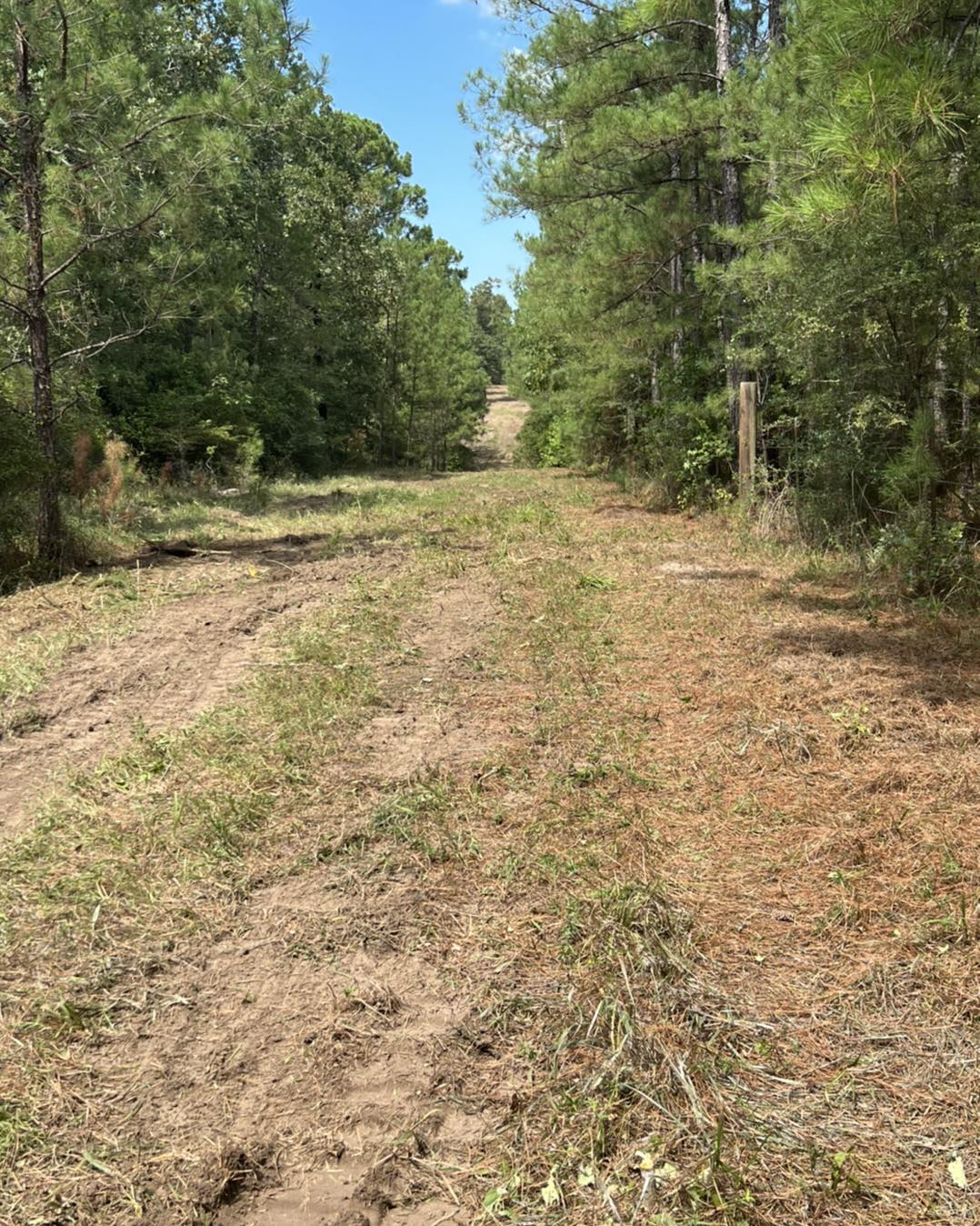 Land Clearing Graham Land Services Anderson Texas