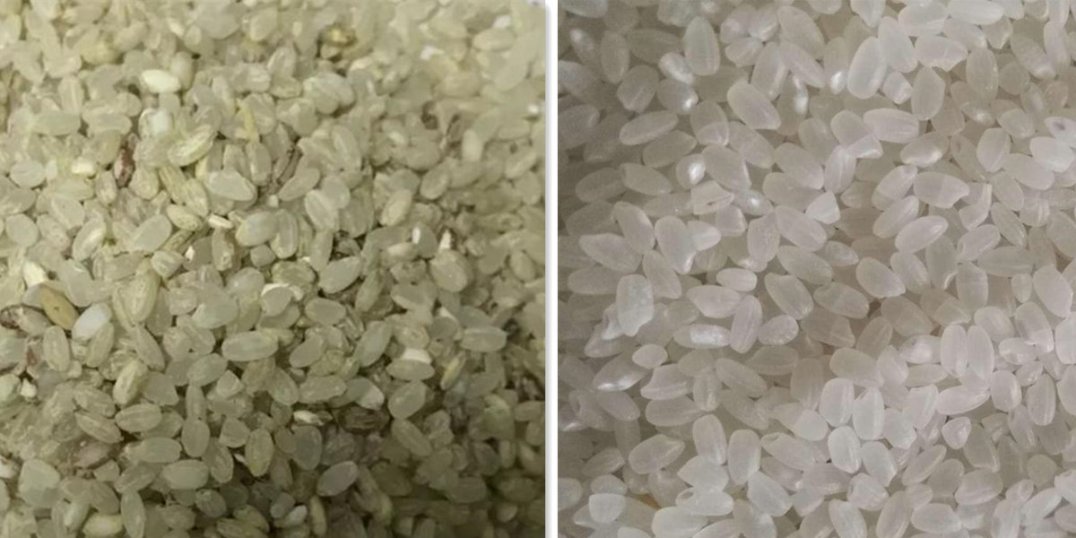 HRP40*2 Smart Rice Polishing Machine WinTone Grain Machinery
