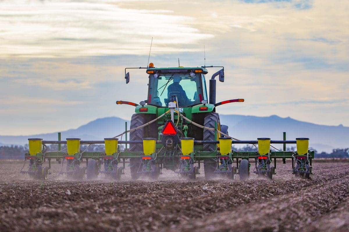 Cotton Seed Distributors gearing up for busy year of research Grain
