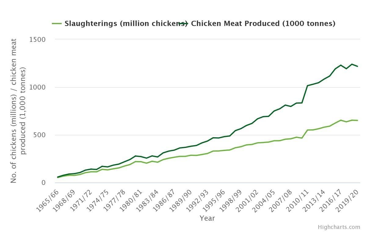 More broilers in NSW to offset feedlots’ reduced grain use Grain Central