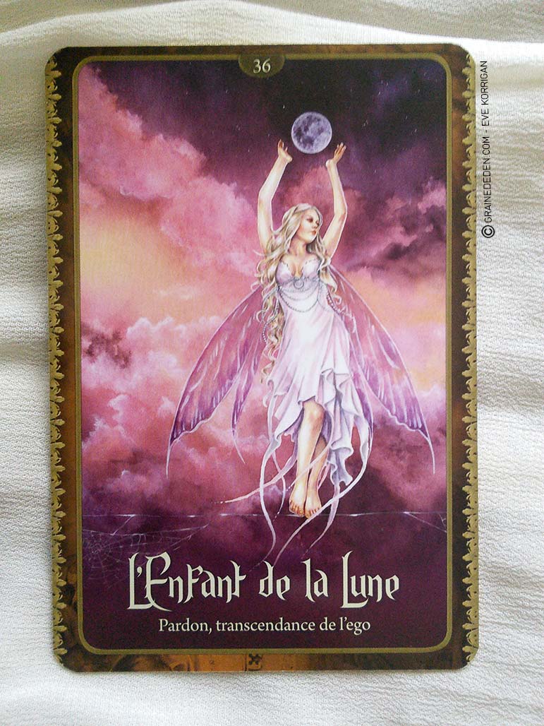 Pain Points Oracle des fées cartes de Lucy Cavendish Avis et Review